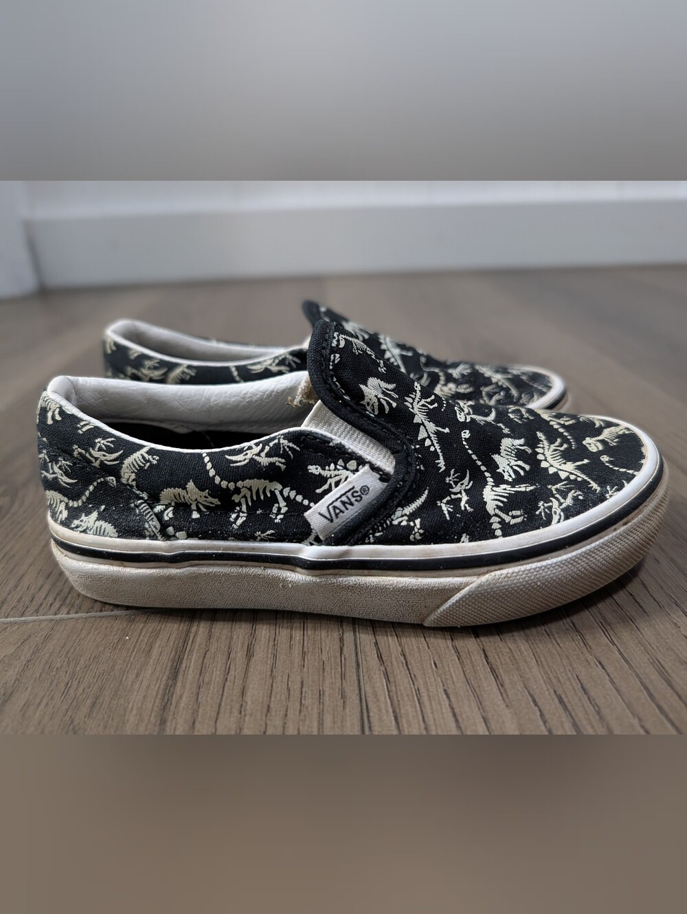 Glow In The Dark Classic Slip-On Dinosaur Vans